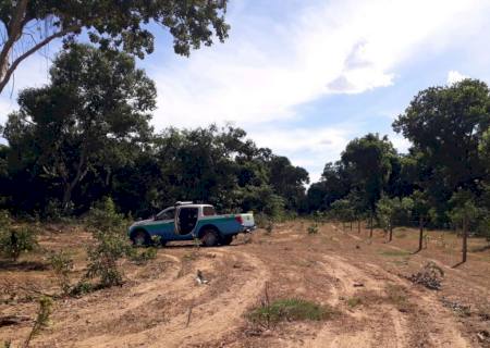 Paranaense é autuado pela PMA por desmatamento em Ribas do Rio Pardo