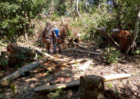 Polícia Militar Ambiental autua assentado em R$ 11 mil reincidente por exploração ilegal de madeira