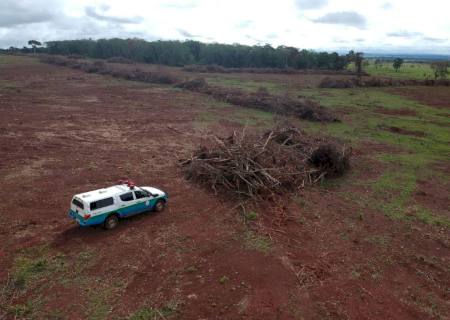 Fazendeiro é multado em R$ 42 mil por desmatamento de Mata Atlântica em Ivinhema