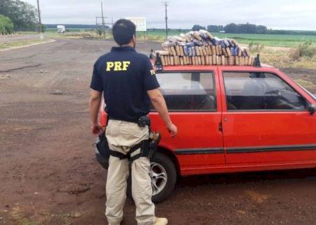 Traficante receberia R$ 500 para levar maconha de Ponta Porã ao Estado de SP