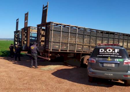 Caminhões com placas de Taquarussu são apreendidos com mais de 2,6 ton de maconha