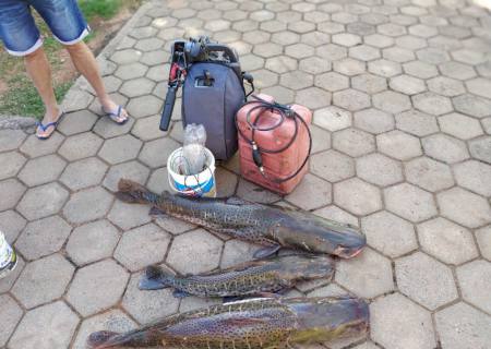 Polícia Ambiental prende e autua três campo-grandenses por pesca predatória