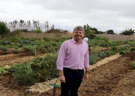 Governo lança plataforma para agricultores familiares de MS venderem on line