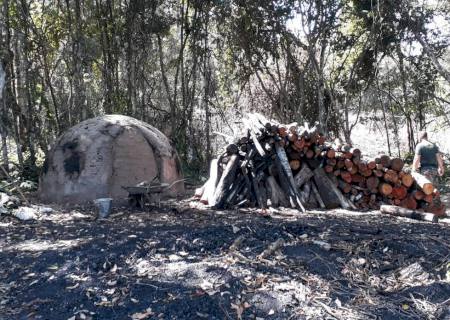 Polícia Ambiental utiliza drone e descobre carvoaria e exploração de madeira ilegais