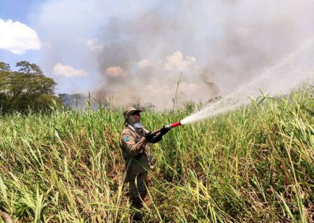 Bombeiros de Nova Andradina ajudam em incêndio florestal em Naviraí