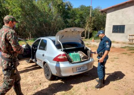 Traficante fica nervoso com abordagem da PMA e confessa que transportava maconha