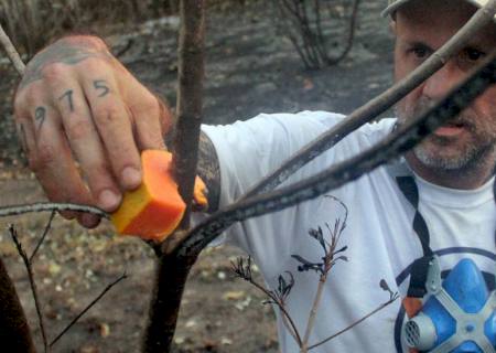 Imasul integra grupo de resgate e assistência à fauna atingida pelo fogo no Pantanal