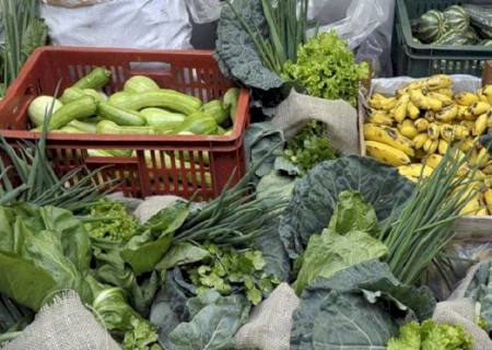 Seguindo a tendência do mercado digital, Manucã é a plataforma de venda para pequenos agricultores