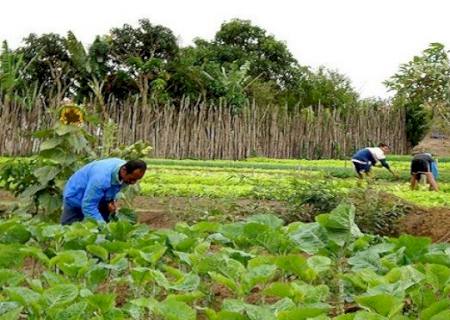 Manucã: a plataforma que aproxima pequenos agricultores e compradores