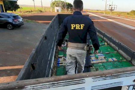 PRF encontra 773 kg de maconha em fundo falso de caminhão