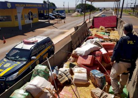 PRF apreende 9 toneladas de maconha em carga de milho em Ponta Porã