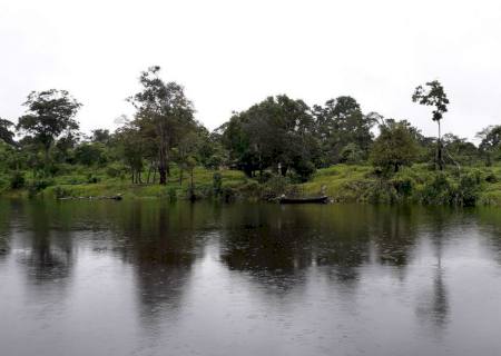 Embrapa coleta bactérias e fungos com potencial econômico na Amazônia