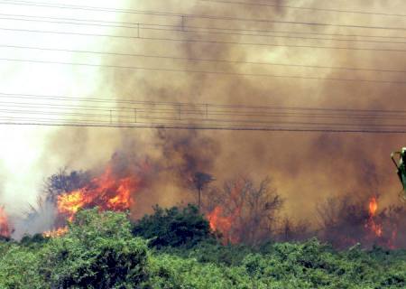 Governo decreta estado de emergência no Pantanal devido incêndios