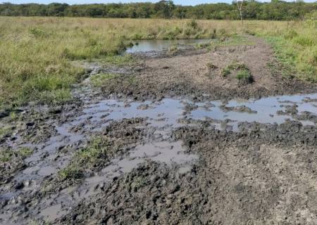 Polícia Ambiental autua paulista em R$ 80 mil por degradação de áreas protegidas