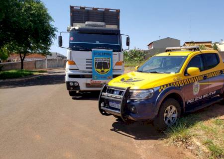 Polícia Militar Rodoviária apreende 5,3 ton de maconha que seguiria para Campo Grande