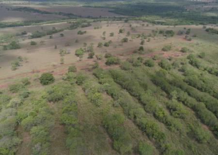 Com drone, GPS e imagens de satélites, polícia descobre desmatamento ilegal