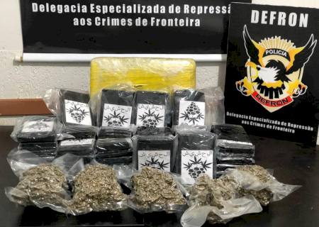 Defron apreende haxixe marroquino e maconha purple weed com passageira de ônibus