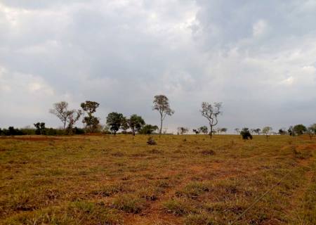 Com uso de GPS, Polícia Ambiental localiza vegetação desmatada ilegalmente