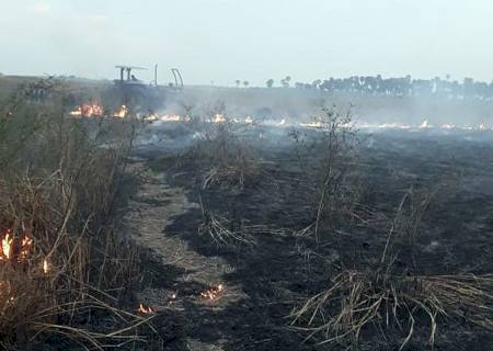 Bombeiros combatem incêndios no Pantanal do Nabileque