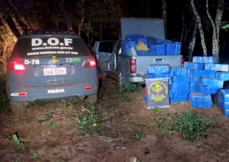 DOF apreende mais de 3 ton de maconha em uma fazenda