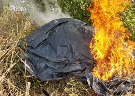 Com apoio da PF, Senad destrói 59 ton de maconha na fronteira