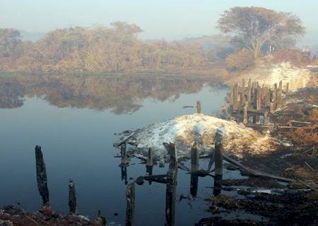 Consumidas pelo fogo no Pantanal, novas pontes de madeira serão entregues em 120 dias