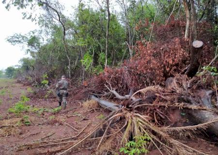 Batayporaense é multado em R$ 6 mil por desmatamento em fazenda em Anaurilândia