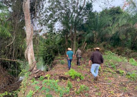 Polícia Ambiental autua engenheiro por degradação de área protegida de mata ciliar