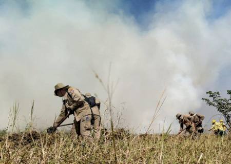Bombeiros do PR chegam a MS para combater fogo no Pantanal e Cerrado
