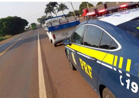 Kombi é apreendida com quase meia tonelada de maconha em Rio Brilhante