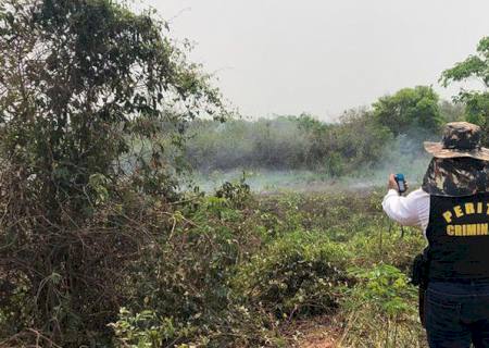 Operação Focus inicia investigação para apurar origem das queimadas no Pantanal