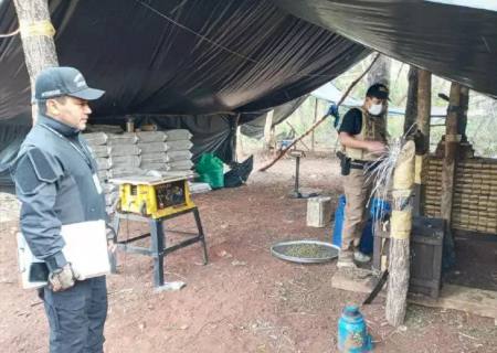 Polícia paraguaia apreende 3,5 ton de maconha após troca de tiros na fronteira com MS