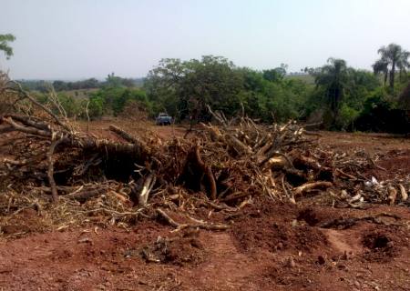 Fazendeiro é autuado por desmatamento de área de Mata Atlântica em Amambai