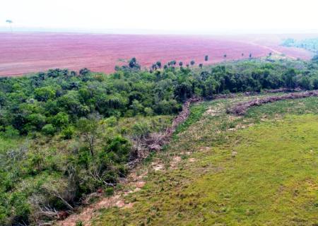 Polícia Militar Ambiental autua infrator em R$ 7 mil por desmatamento ilegal