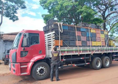 Motorista é preso com 2,8 ton de maconha na MS-276