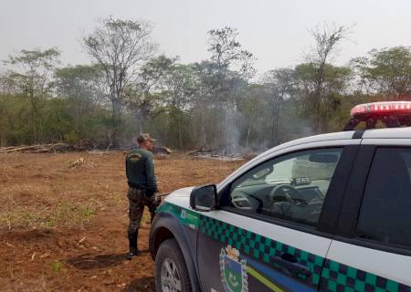 Polícia Ambiental autua assentado por desmatamento, exploração de madeira e incêndio de vegetação