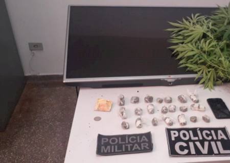 Polícia Militar e Civil prendem jovem por cultivo de maconha em Rio Verde do MT