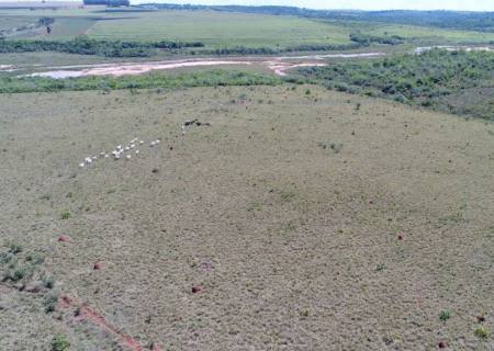 Assentado é multado por manter gado em área protegida de reserva legal