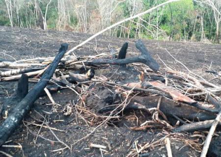 Polícia Militar Ambiental de São Gabriel do Oeste autua pecuarista por desmatamento ilegal