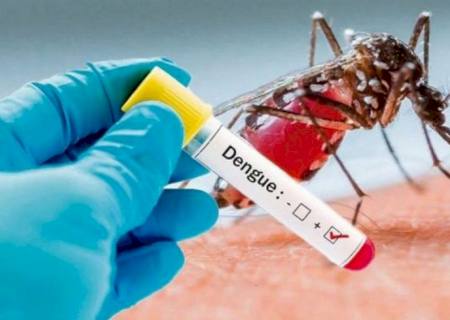 Casos de dengue em Nova Andradina é três vezes menor que no ano passado