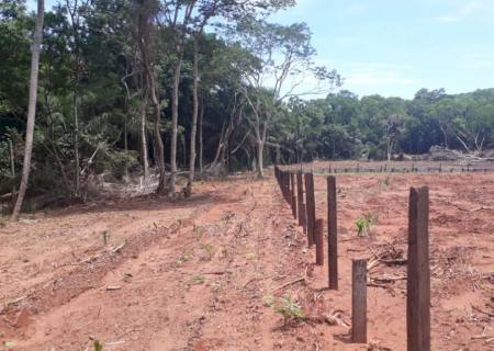 Polícia Ambiental autua infrator por desmatamento ilegal