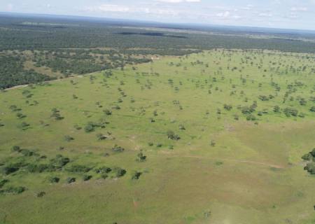 Imagens de satélites revelam desmatamento ilegal e advogada leva multa de R$ 35 mil