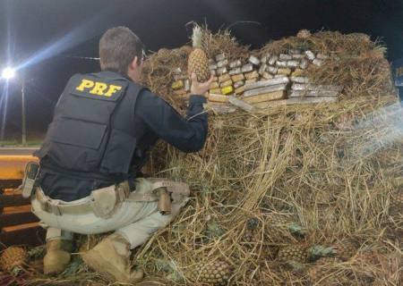 PRF encontra 844 kg de maconha em meio a carga de abacaxis em Ponta Porã