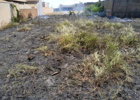 Polícia Ambiental flagra e autua infrator incendiando terreno baldio em Ivinhema