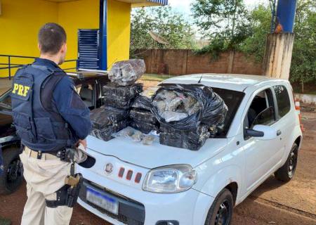 Drogas com destino ao Estado de São Paulo são interceptadas em Rio Brilhante