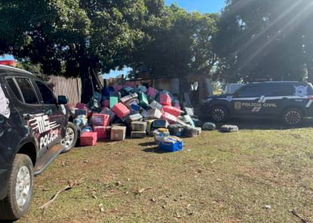 Vídeo: Horta escondia 8 ton de drogas na região de fronteira