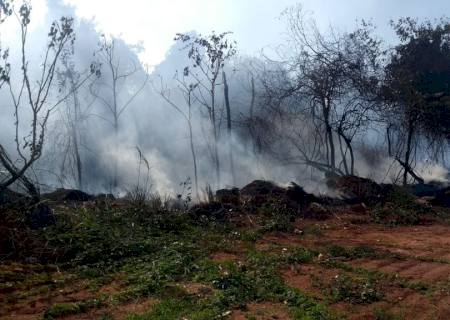 Vídeo: Em Nova Andradina, fogo consome mata ao lado da Vila Beatriz