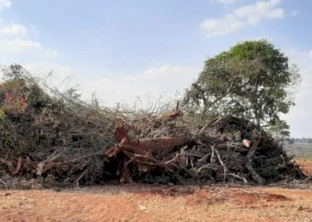 Por apresentação de licença falsa, engenheira agrônoma e fazendeiro são multados pela Polícia Ambiental