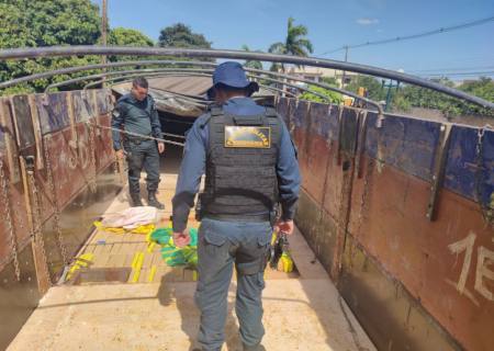 PMR localiza mais de 700 kg de maconha escondida em carreta que seguiria para São Paulo