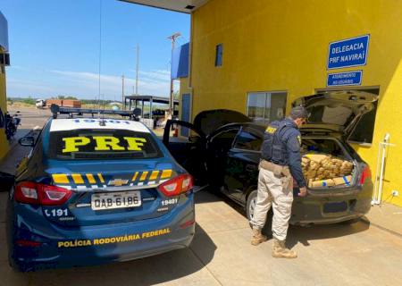 Polícia apreende 502 quilos de maconha em Naviraí